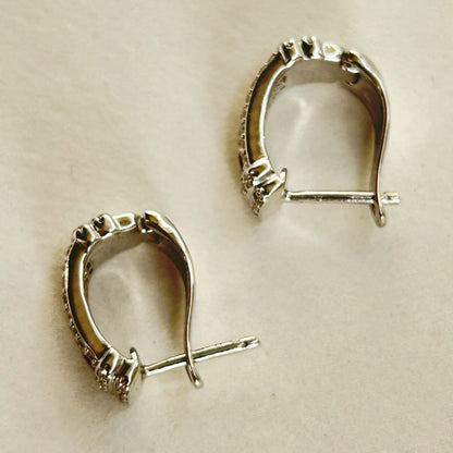 Pink Hoop Earrings - Silver Zircon Earrings